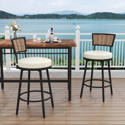 Swivel Outdoor Bar&Counter Stool with Cushion(Set of 2) | Wayfair North America