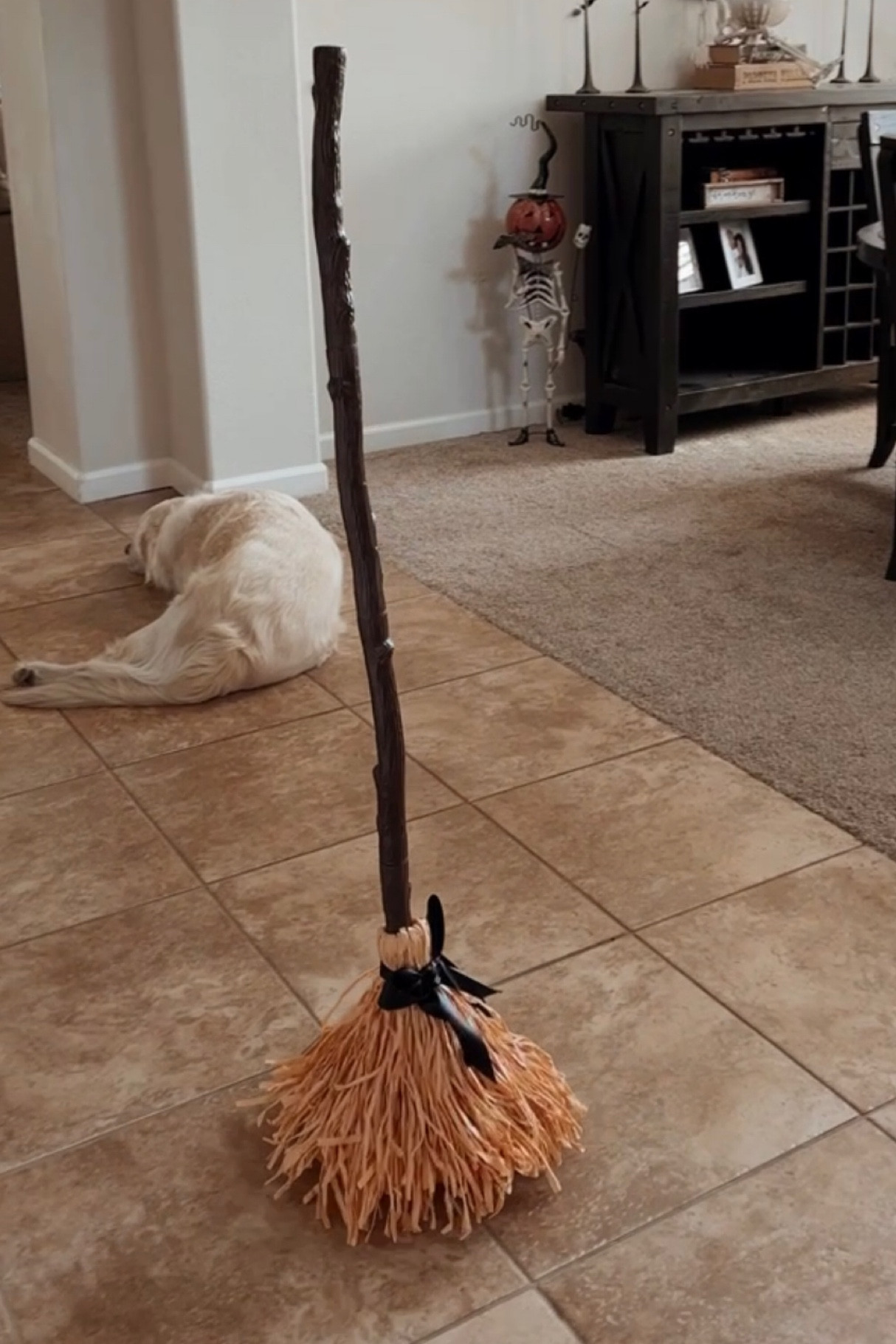 Magical broom

#LTKhome #LTKsalealert #LTKSeasonal