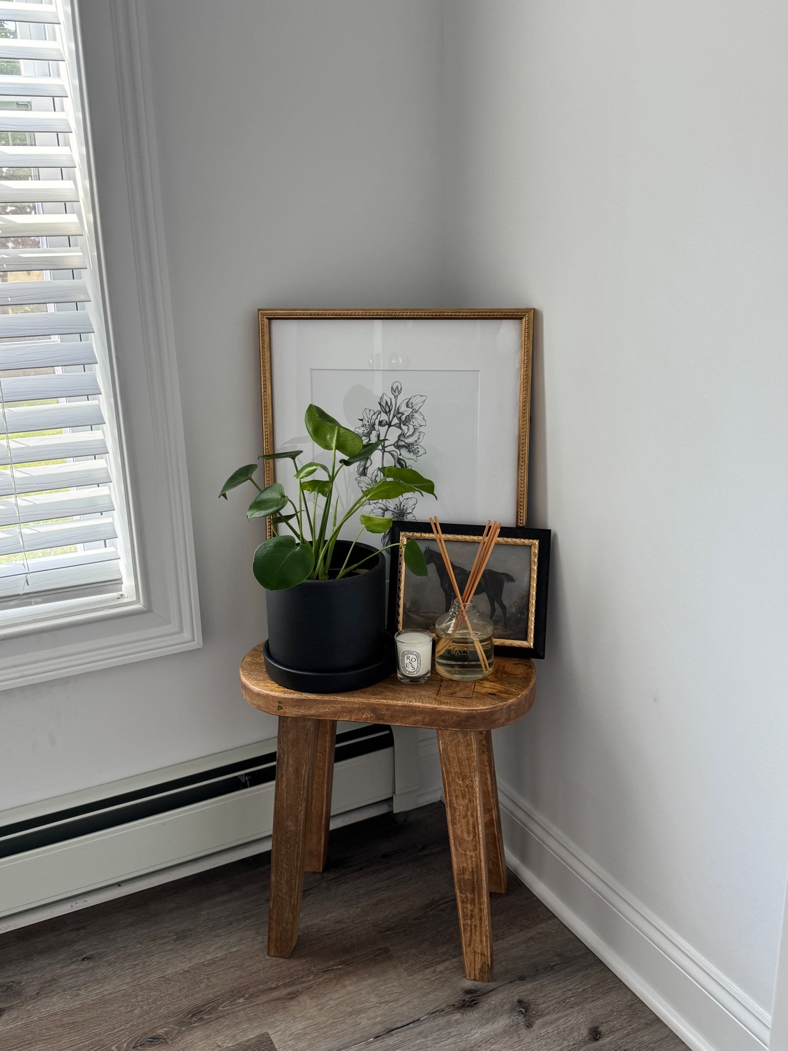 Cute bathroom corner! 

Home decor, bathroom decor, modern farmhouse decor, home inspo 

#LTKHome #LTKSeasonal #LTKFindsUnder100