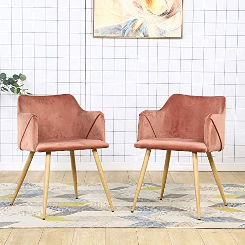 Velvet Chair Set of 2 Pink Accent Chairs Modern Arm Chairs for Living Room | Amazon (US)