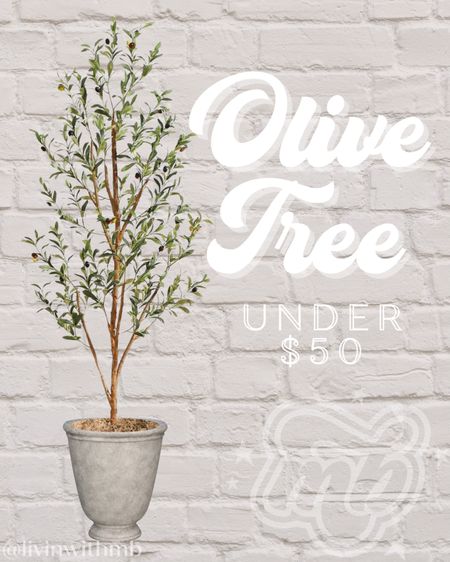 Olive tree at Walmart! Comes in 4 sizes, and all are under $50🙌🏼

#LTKstyletip #LTKhome #LTKfindsunder50