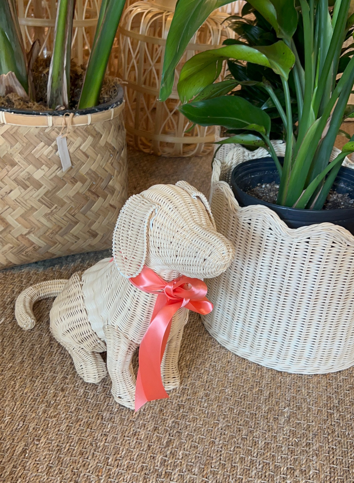 I love this cute little wicker dog accent! And the wavy scalloped planter basket!

#LTKhome #LTKGiftGuide #LTKfindsunder100