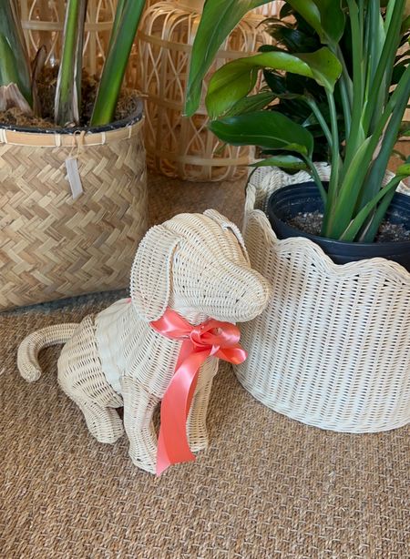 I love this cute little wicker dog accent! And the wavy scalloped planter basket!

#LTKhome #LTKGiftGuide #LTKfindsunder100