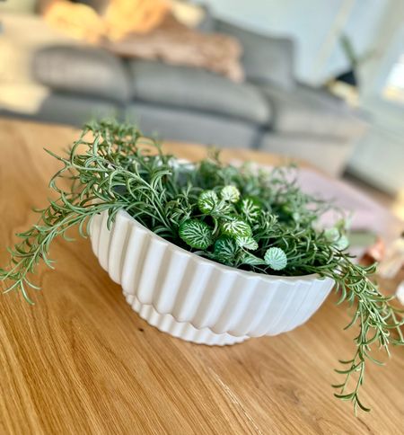 White planter bowl under $20 


Planter 
Walmart planter


#LTKfindsunder50 #LTKSpringSale