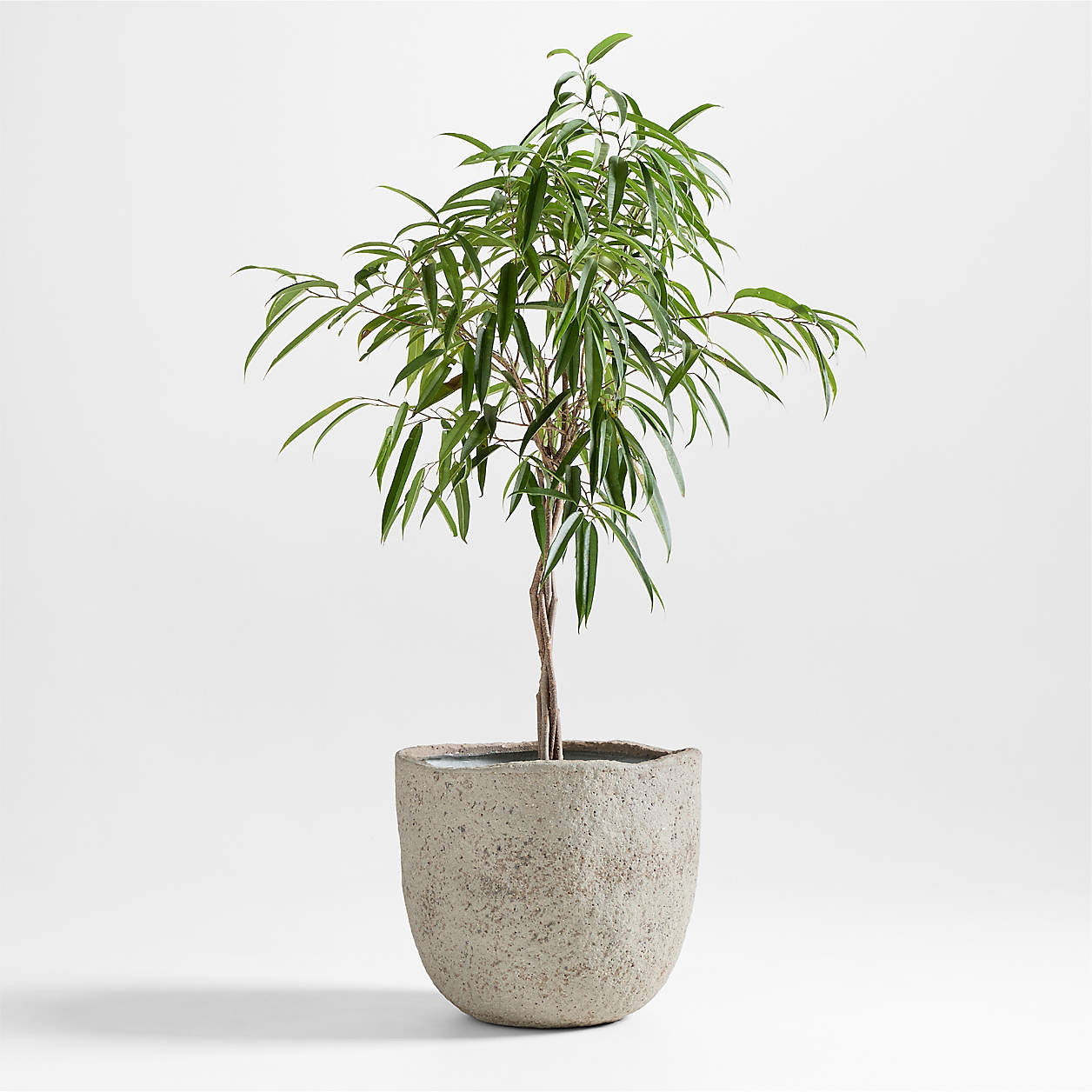 Cavo Warm Grey Textured Indoor/Outdoor Planter 16.5"x14" | Crate & Barrel | Crate & Barrel