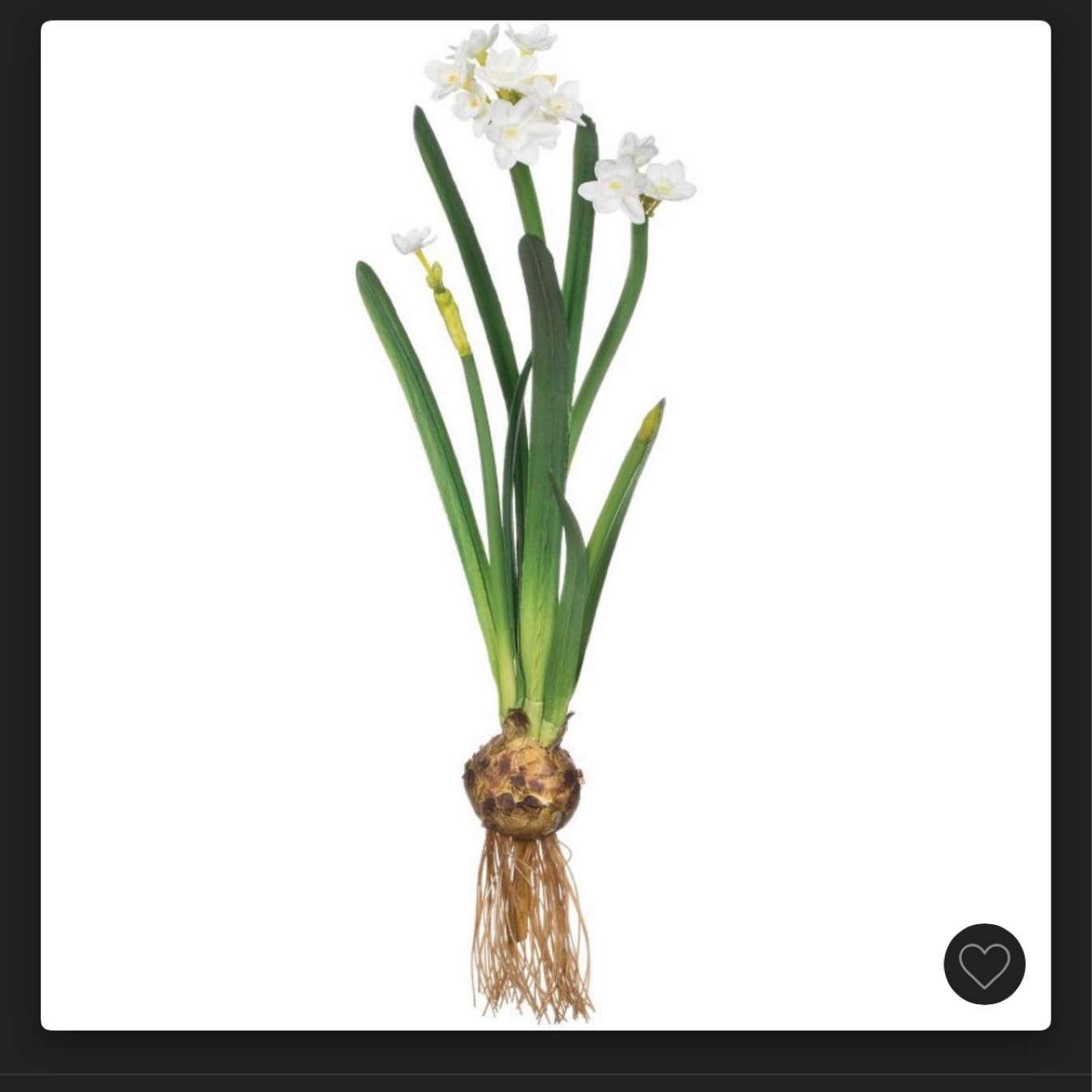 Faux paperwhites on sale! 

#LTKSeasonal #LTKHoliday #LTKunder50