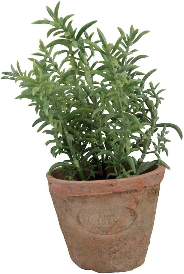 Esschert Design Artificial Herb Plant, Thyme, Small | Amazon (US)