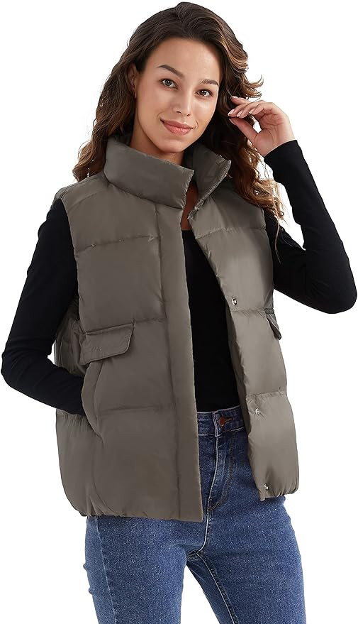 ELEZAY Women's Puffer Vest with Stand-Collar One Size Winter Down Quilted Vests Sleeveless Casual... | Amazon (US)