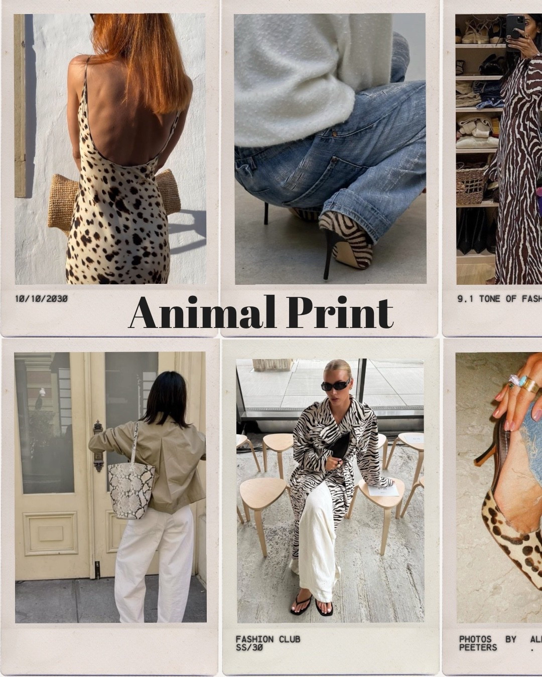 Animal print / style / shoes / fashion

#LTKootd #LTKgrwm #LTKSpringSale
