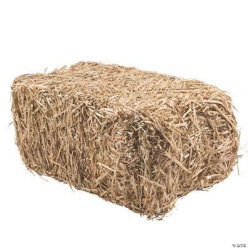 FloraCraft Decorative Straw Hay Bale - 24", Birthday, Craft Supplies, 1 Piece | Walmart (US)