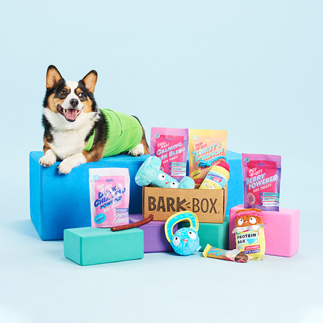 How BarkBox Works | BARK
