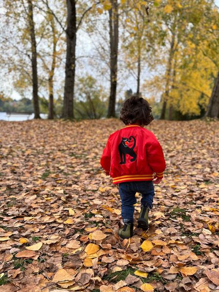 Fall toddler fits are my favorite #fallfashion #toddlerstyle

#LTKfamily #LTKSeasonal