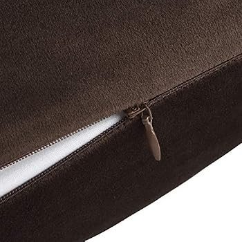 Mixhug Set of 2 Cozy Velvet Square Decorative Throw Pillow Covers for Couch and Bed, Coffee Brown... | Amazon (US)