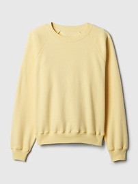 Vintage Soft Raglan Sweatshirt | Gap (US)