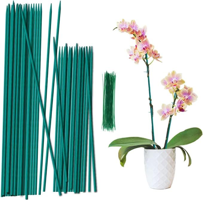 17" +12" Green Bamboo Sticks,Garden Wood Plant Stakes,Floral/Orchid/Tomato Wooden Stakes Plant Su... | Amazon (US)