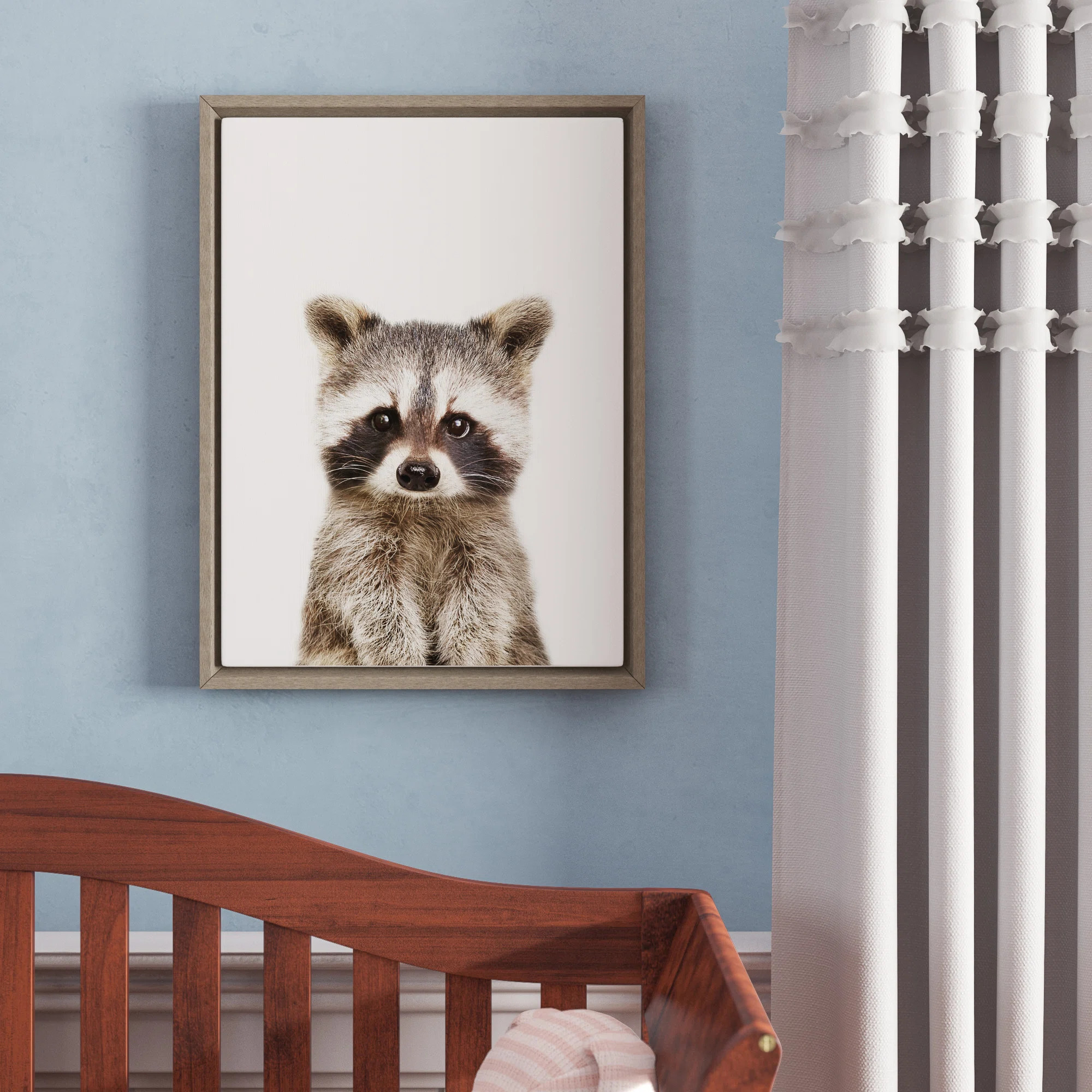 Animal Studio Raccoon by Amy Peterson Framed Canvas Wall Art Print | Wayfair North America