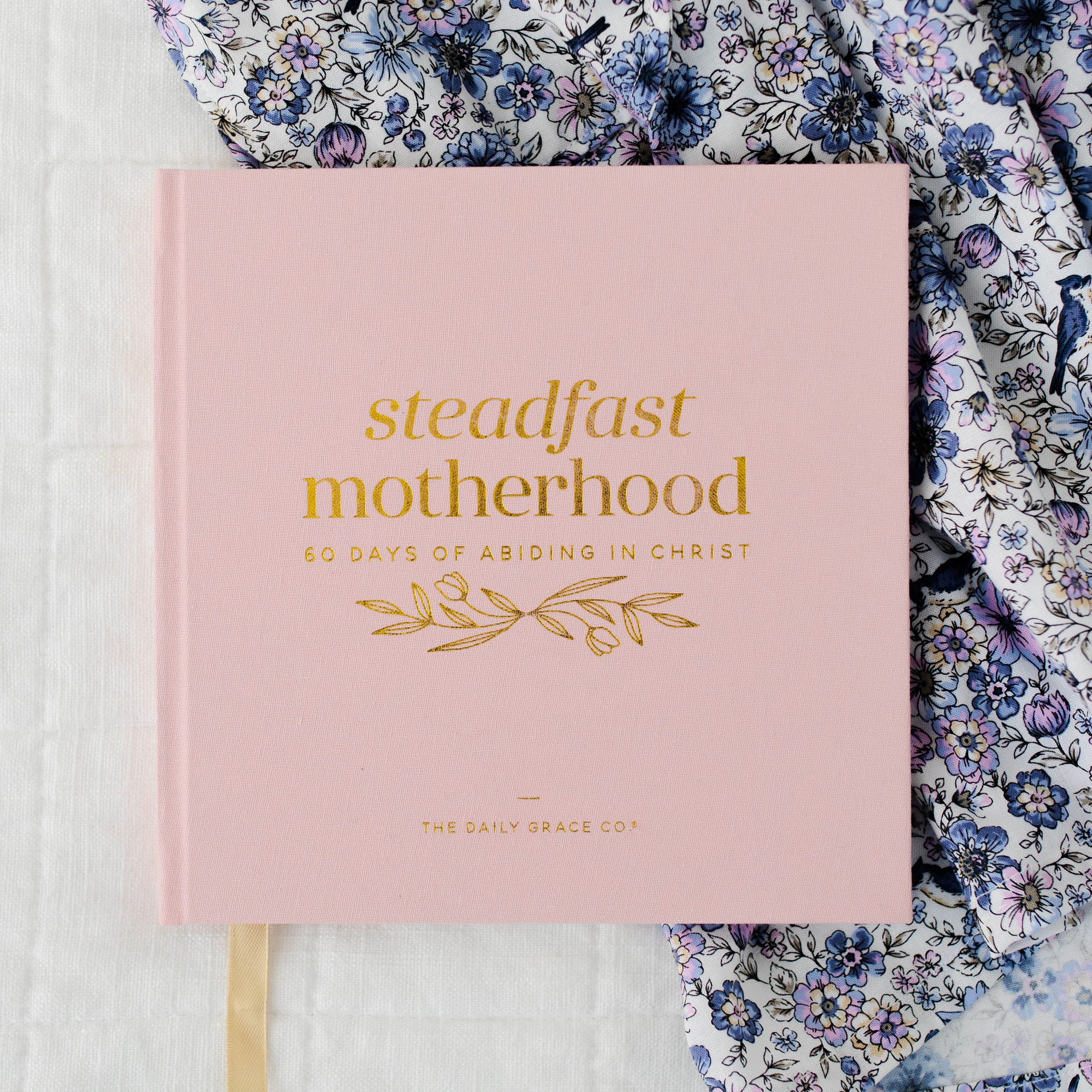 Steadfast Motherhood | 60 Days of Abiding in Christ | The Daily Grace Co.