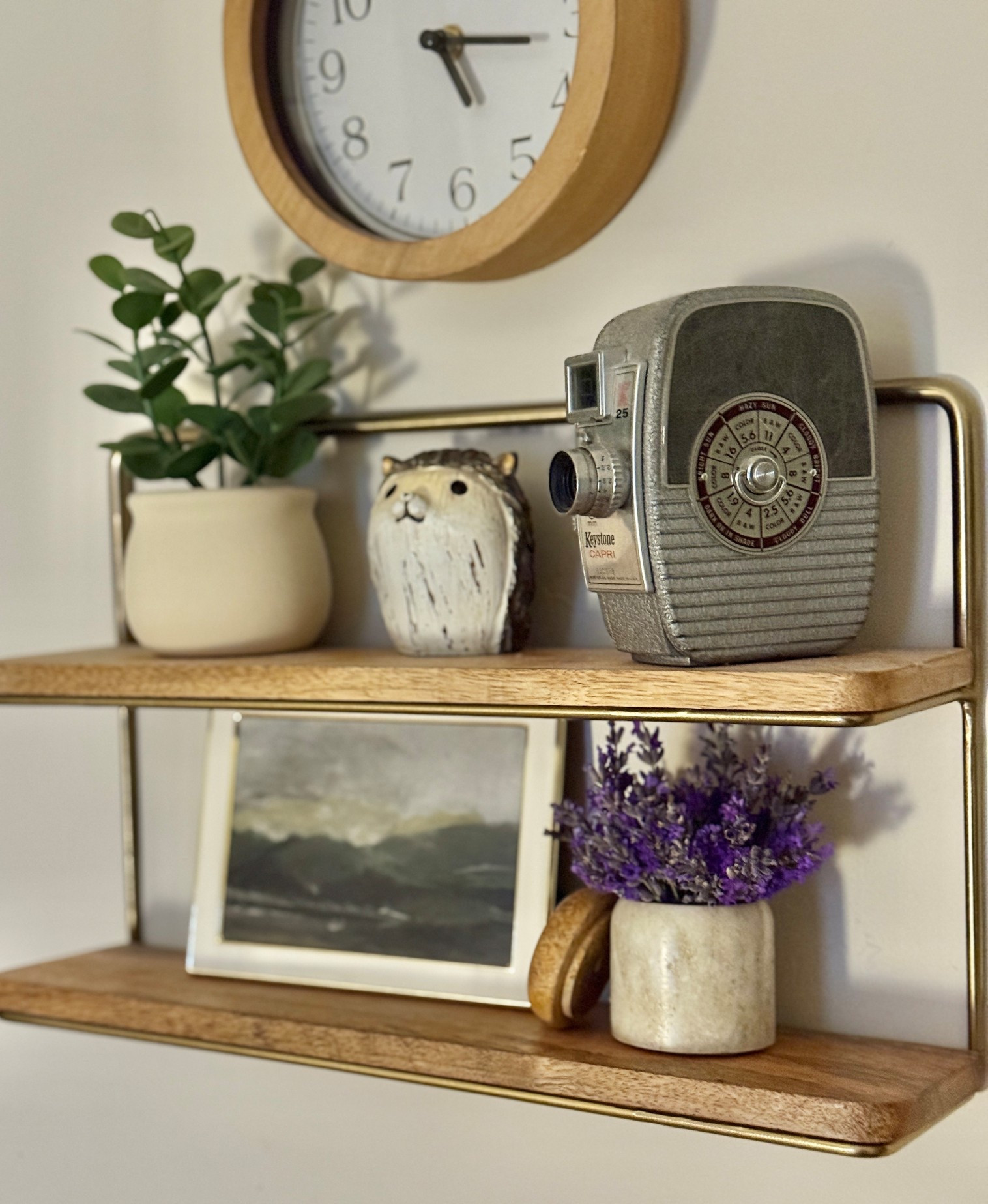 Added some fresh lavender from the garden to our little girl’s bedroom in this cute little canister doubling as a vase. It fit perfectly on this double wall shelf. 

Wall clock
Vintage camera
Faux plant
Wooden hedgehog
Picture frame
Wood and brass wall shelf