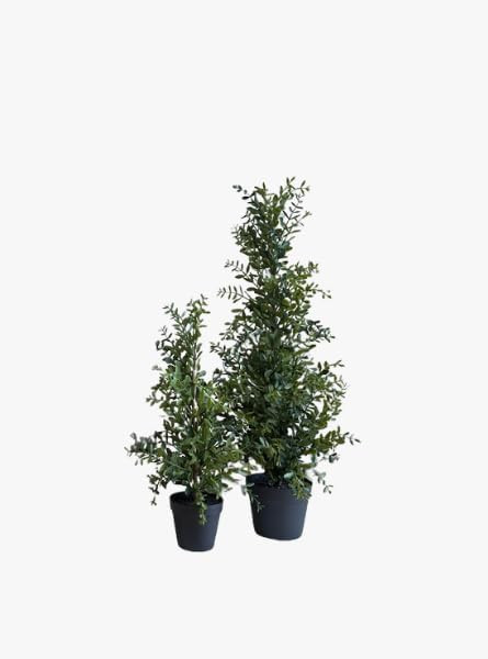 Potted Boxwood Tree, Artificial Greenery in Neutral Pot, Lifelike Faux Plant for Indoor or Outdoo... | Amazon (US)