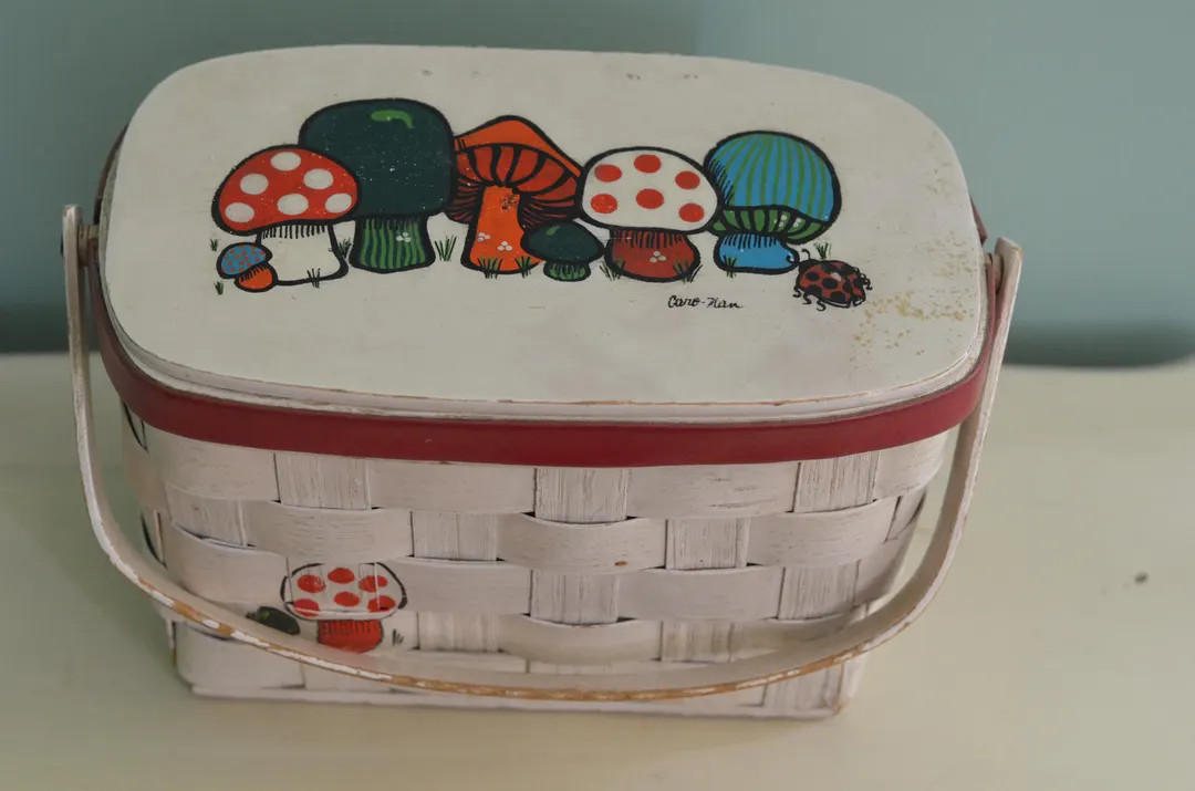 Vintage 70s Caro Nan Basket Purse Hand Painted Mushrooms and Ladybug Signed Wicker Purse - Etsy | Etsy (US)
