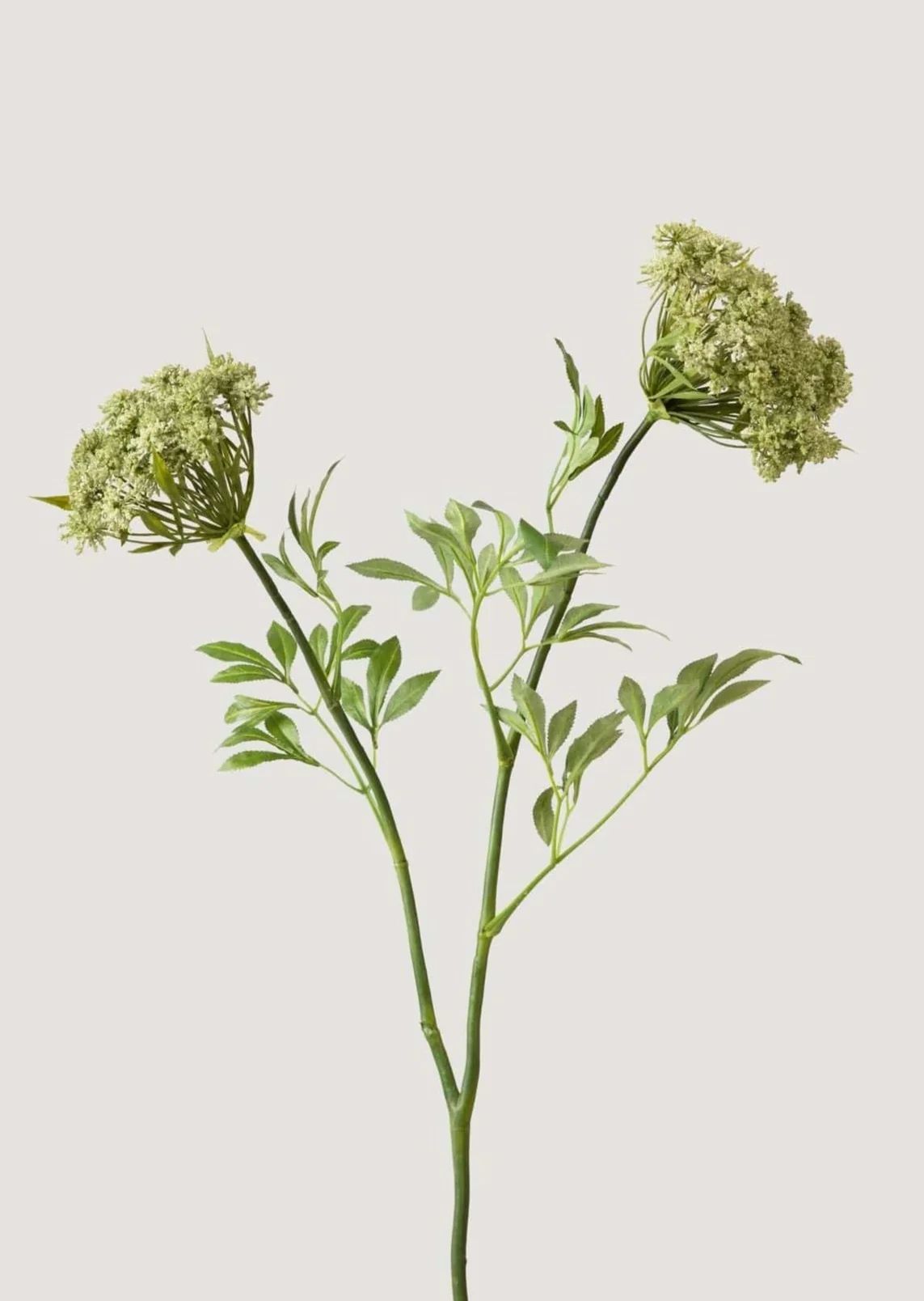 Faux Queen Anne's Lace Wildflowers - 36" | Afloral