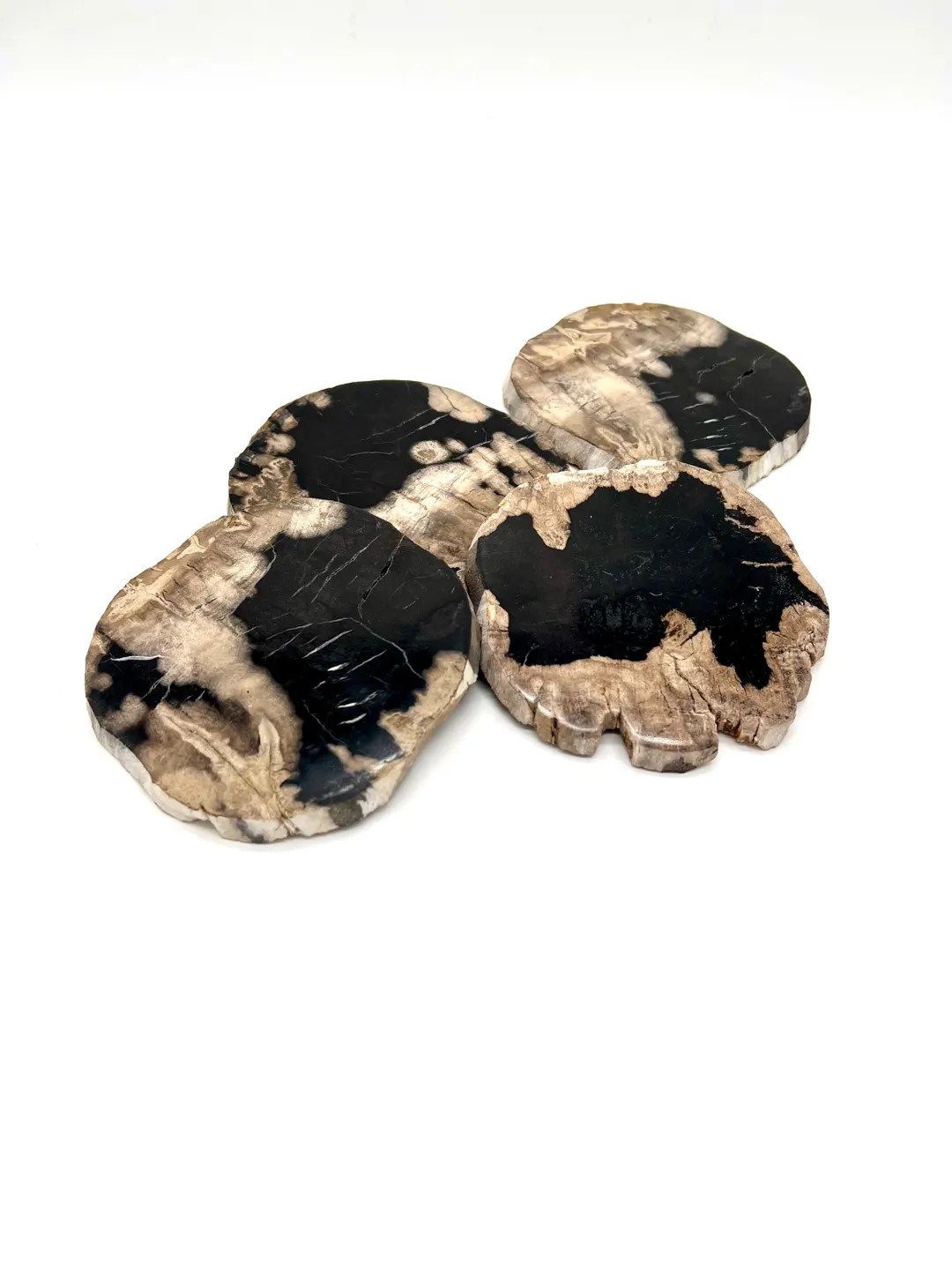 Petrified Wood Coasters - Set of 4 - Etsy | Etsy (US)