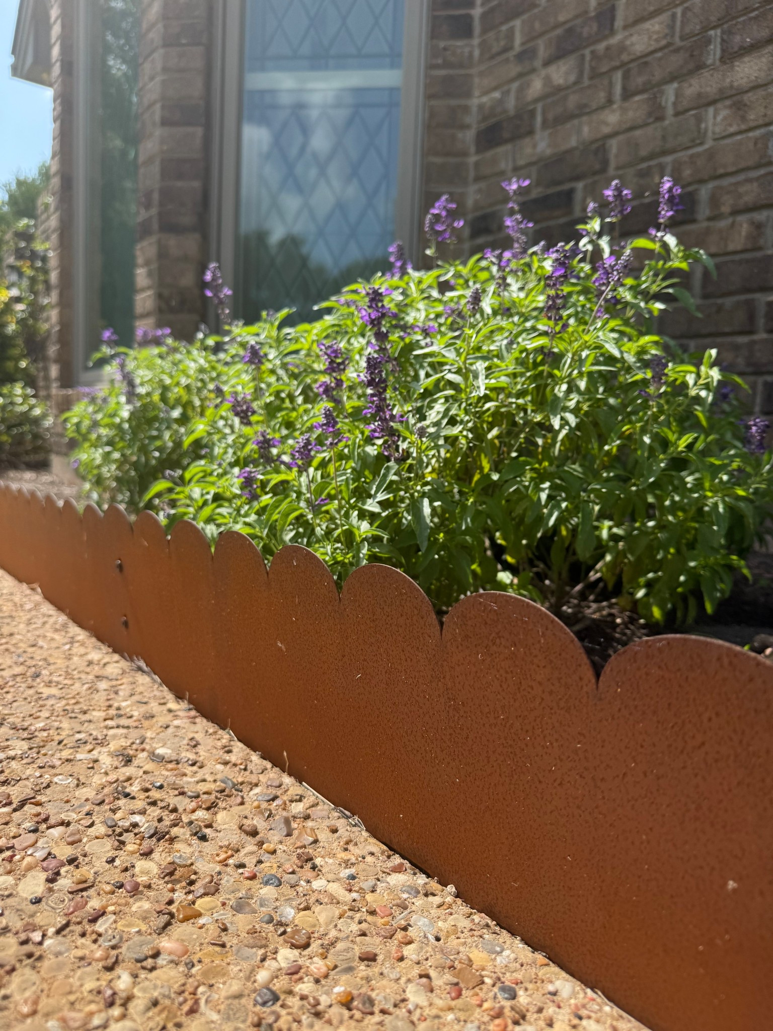 Scalloped metal garden edging with a rustic finish is easy to install! Favorite garden find of the year  

#LTKSeasonal #LTKSummerEdit #LTKHome