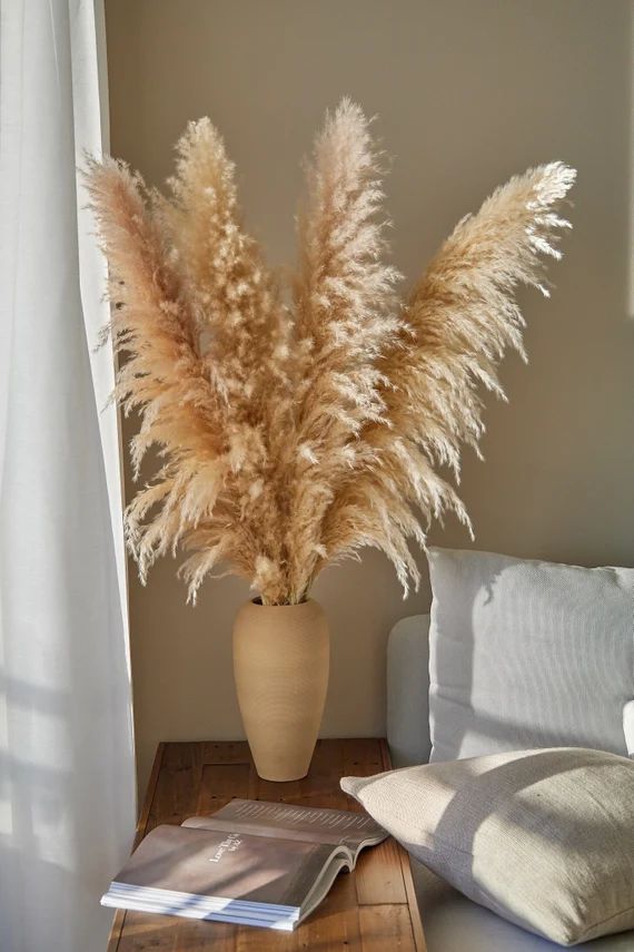 XL PAMPAS GRASS 4 Pcs the Fluffiest Dried Natural Large | Etsy | Etsy (US)