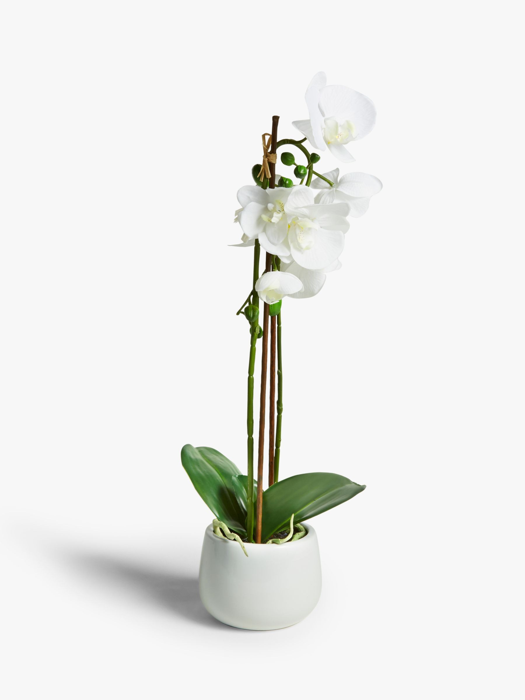 John Lewis Artificial Large White Orchid | John Lewis (UK)