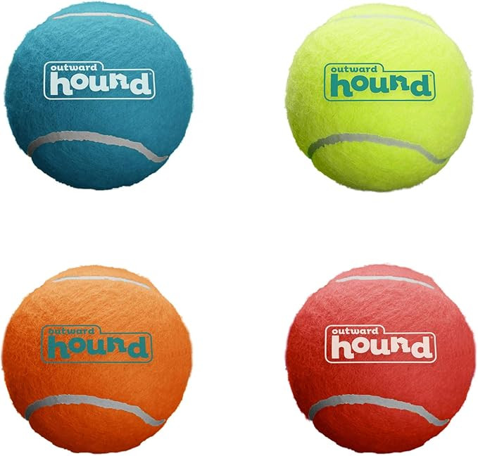 Outward Hound Squeaker Ballz Fetch Dog Toy, Small- 4 Pack | Amazon (US)