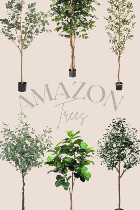 Amazon trees
Amazon finds
Amazon home
Amazon home decor

#LTKstyletip #LTKhome #LTKunder100