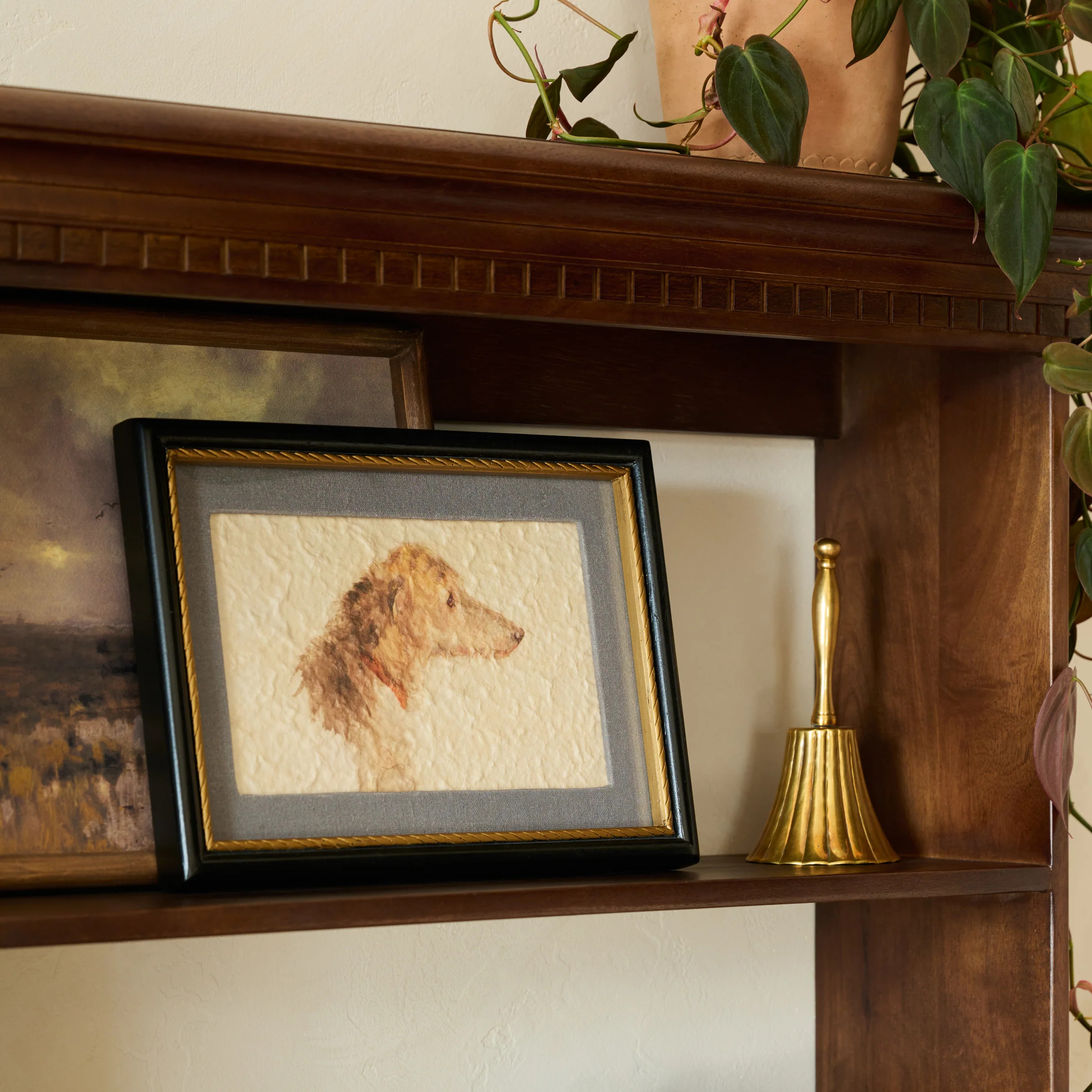 Timeless Companion | Magnolia