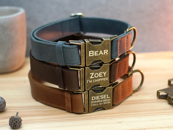 Personalized Dog Collar, Leather Dog Collar with Name, Engraved Dog Collars, Custom Dog Collar, D... | Etsy (US)