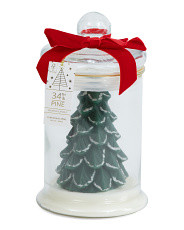16.1oz Tree In Jar Candle | Pillows & Decor | Marshalls | Marshalls