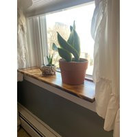 Window Sill Shelf, Wooden Shelf For Plants, Floating Farmhouse Decor, Window Herb Garden Simplistic | Etsy (US)