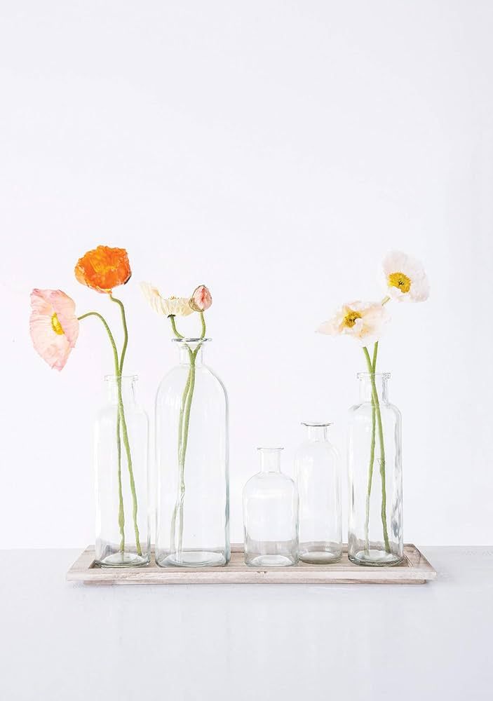 Creative Co-Op Set of 5 Vintage Bottle Vases on Wood Tray | Amazon (US)