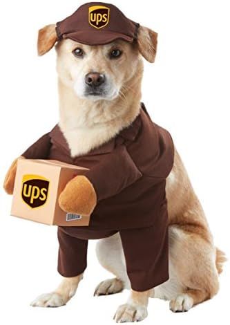 California Costumes UPS Dog Costume Medium | Amazon (US)