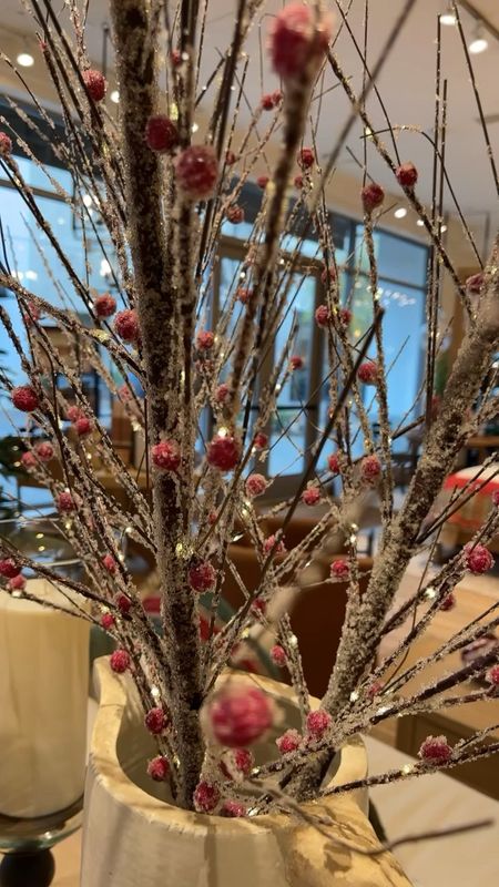 Frost berries on these branches are just incredible! Pottery barn decor is always so organic and classic

#LTKhome #LTKHoliday #LTKSeasonal