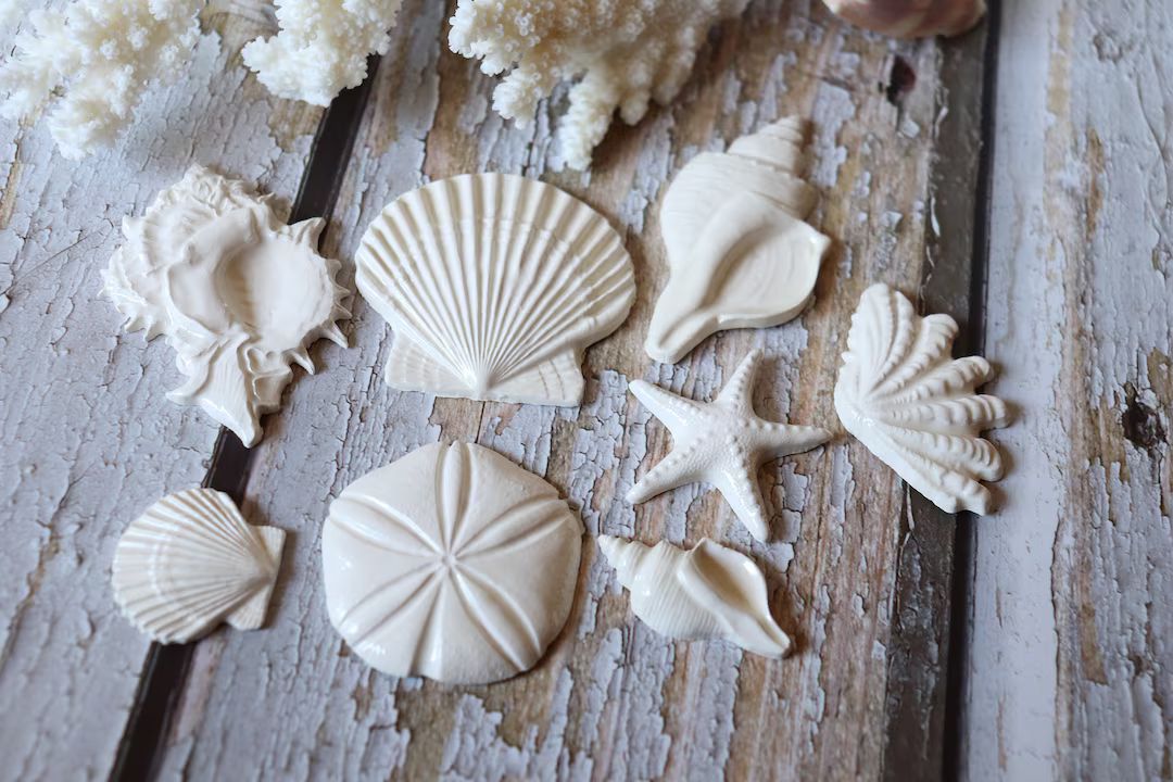 Seashell Mosaic Tile Set, White, Sea Shells, Beachy Decorating, 8 Pieces - Etsy | Etsy (US)