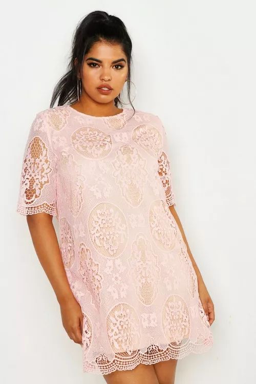 Plus  All Over Lace Shift Dress | Boohoo.com (UK & IE)