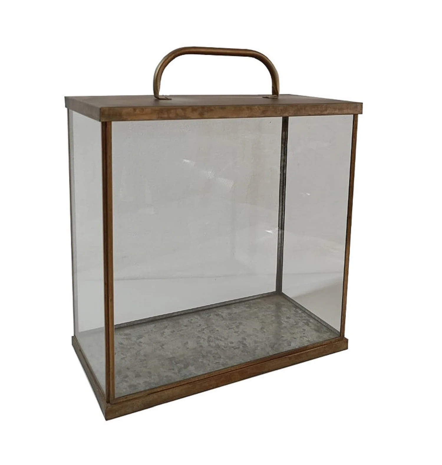 Mercer41 Terrarium Lantern Iron & Glass Aged Antique | Wayfair | Wayfair North America