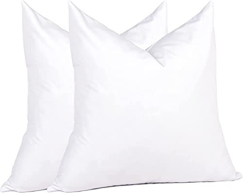 puredown® Euro Pillow Inserts 24 x 24 (Pack of 2, White), Feather Down Pillow Stuffer, White Throw Pillows for Bed, Couch, and Cushion | Amazon (US)