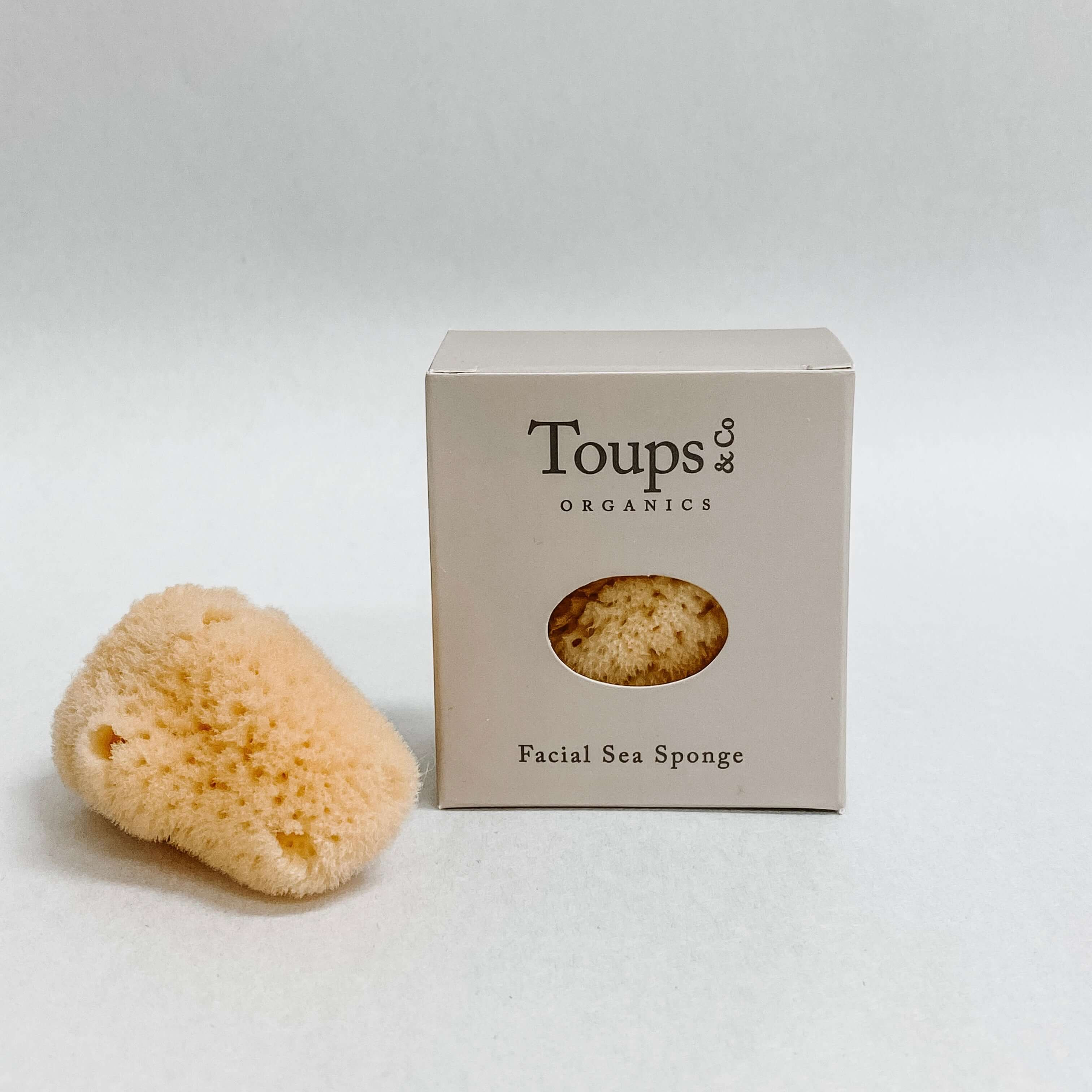 Facial Sea Sponge | Toups and Co Organics