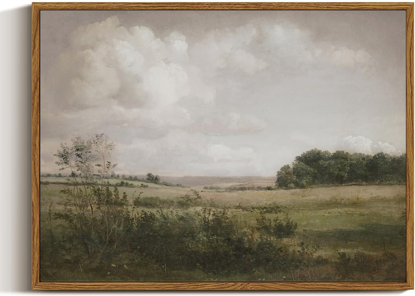 VIYYIEA Nature Framed Wall Art, Wilderness Vintage Art Decor Room Aesthetic, 12x16 Inch Canvas Pr... | Amazon (US)