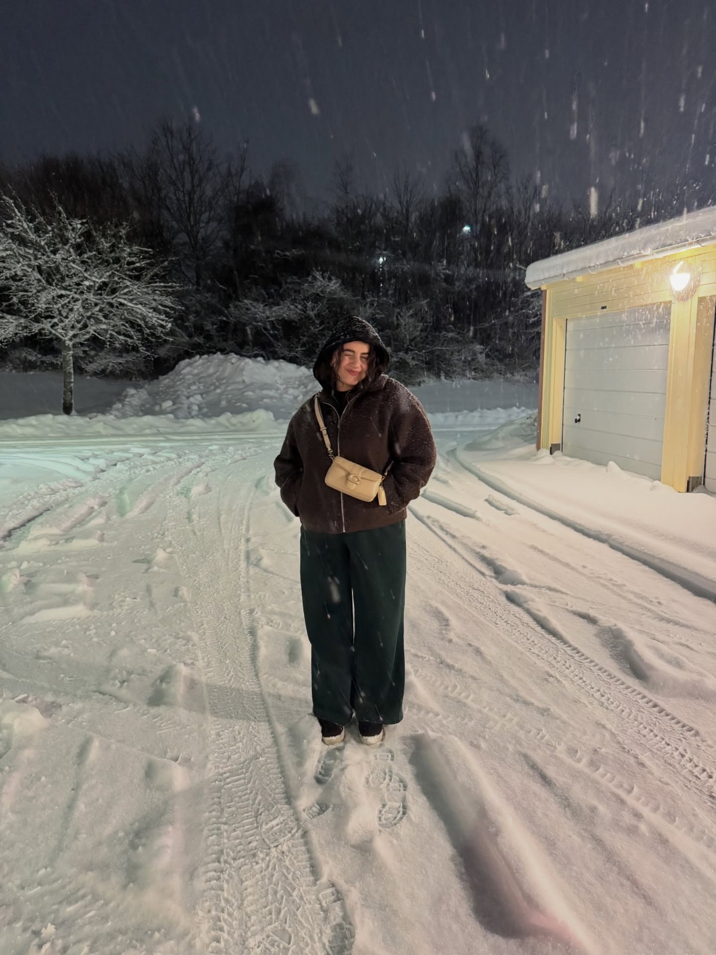 starting 2026 in the snow ❄️ 

#2026 #winteroutfitideas #cosyoutfit #snowyevening #sweden #travel

#LTKwinter #LTKeurope #LTKpetite