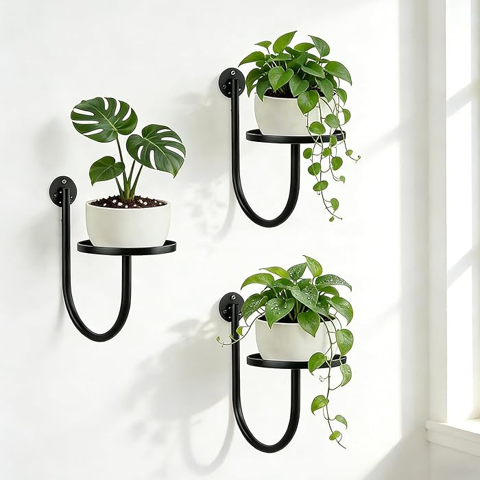 Wall Planters for Indoor Plants, 3 Pack Wall Mounted Plant Holder, Metal Plant Floating Decor She... | Amazon (US)