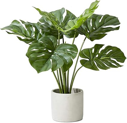 Serene Spaces Living Real Looking Artificial Monstera Plant in Cement Pot, Medium Sized Faux Plan... | Amazon (US)