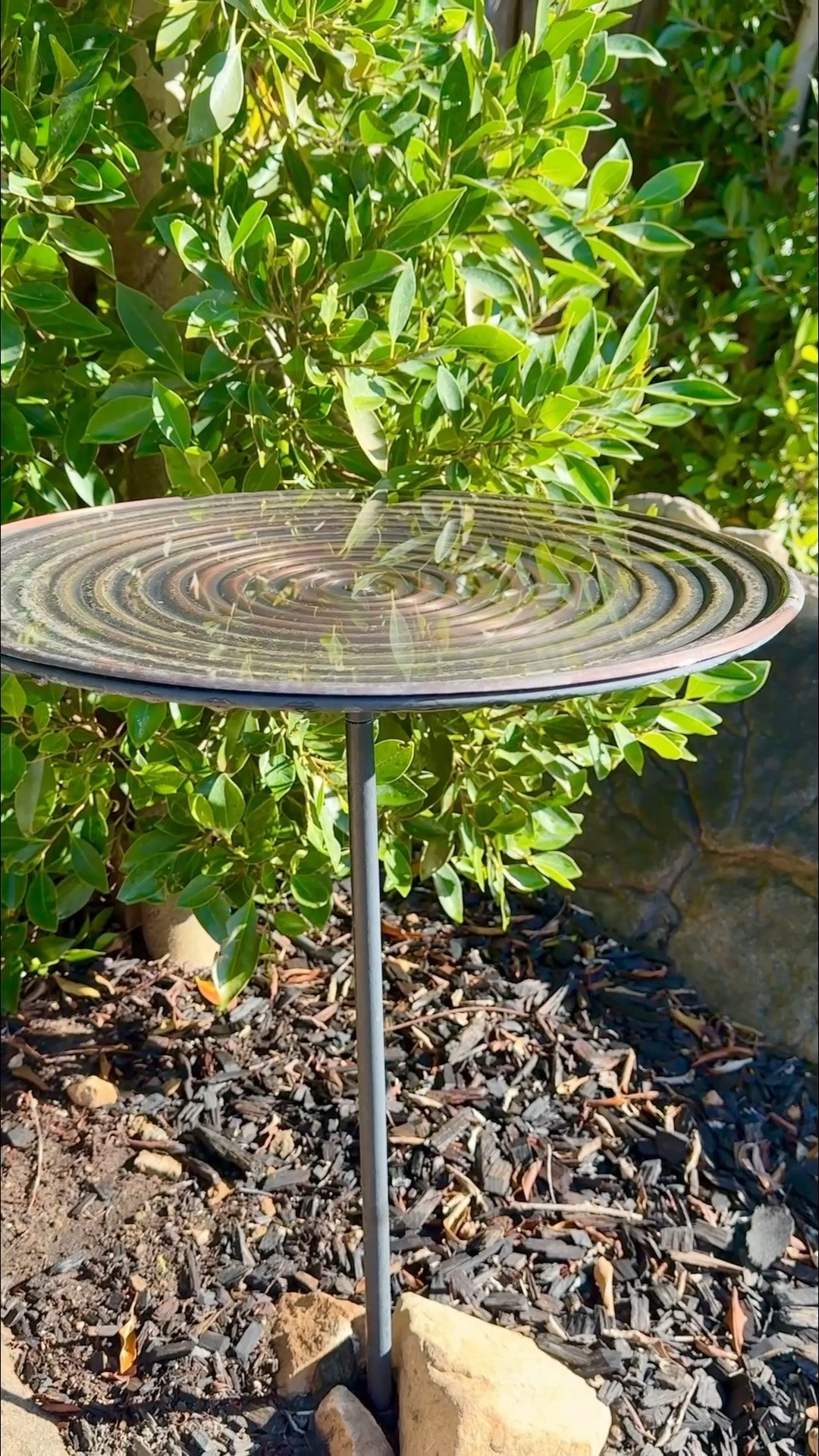 Copper birdfeeders help feed birds and small wildlife during the hot summer seasons. The copper deters bacteria which makes them ideal for gardens.🌿

#LTKSeasonal #LTKSaleAlert #LTKHome