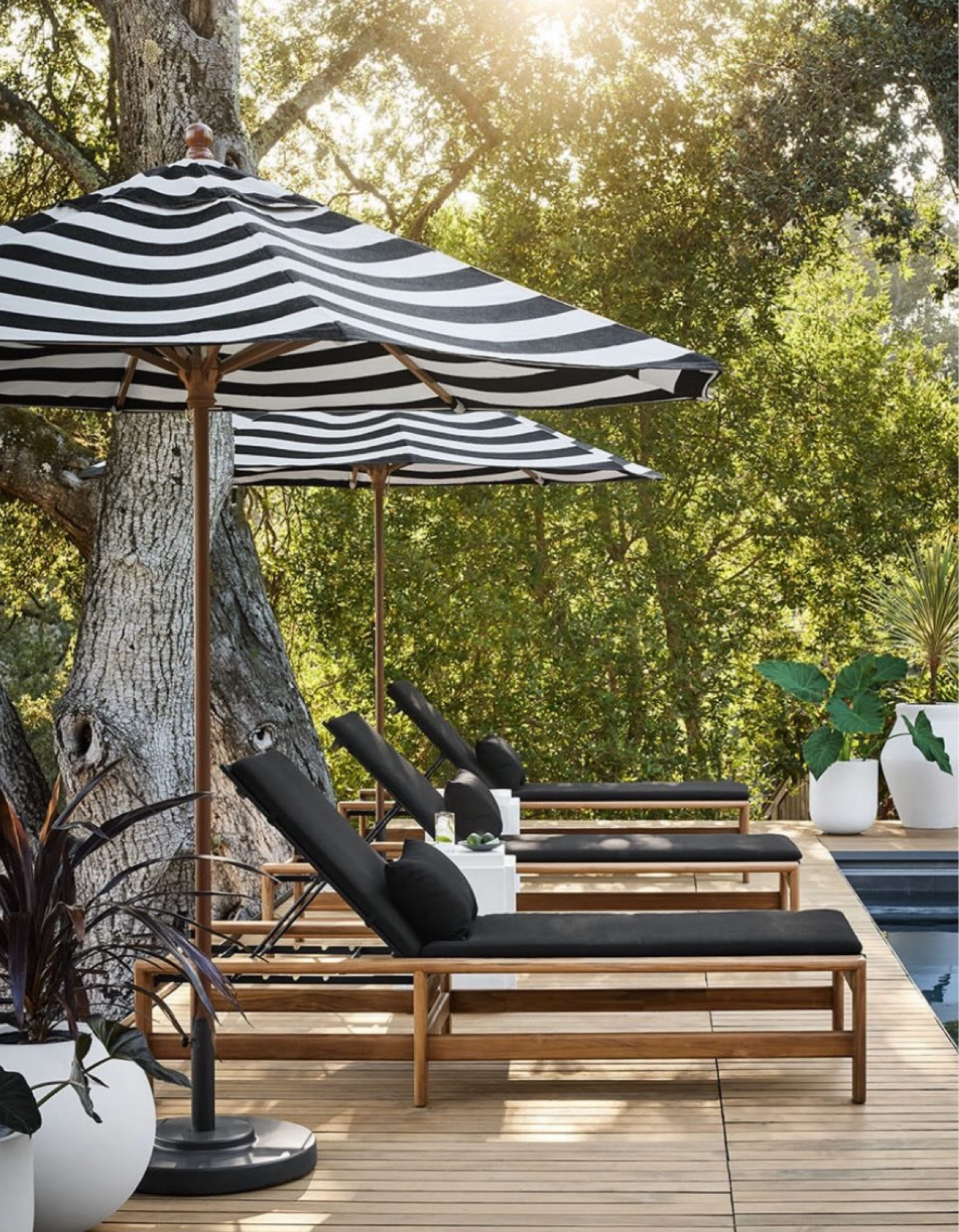 Summer backyard inspo poolside


#LTKFamily #LTKHome #LTKSwim