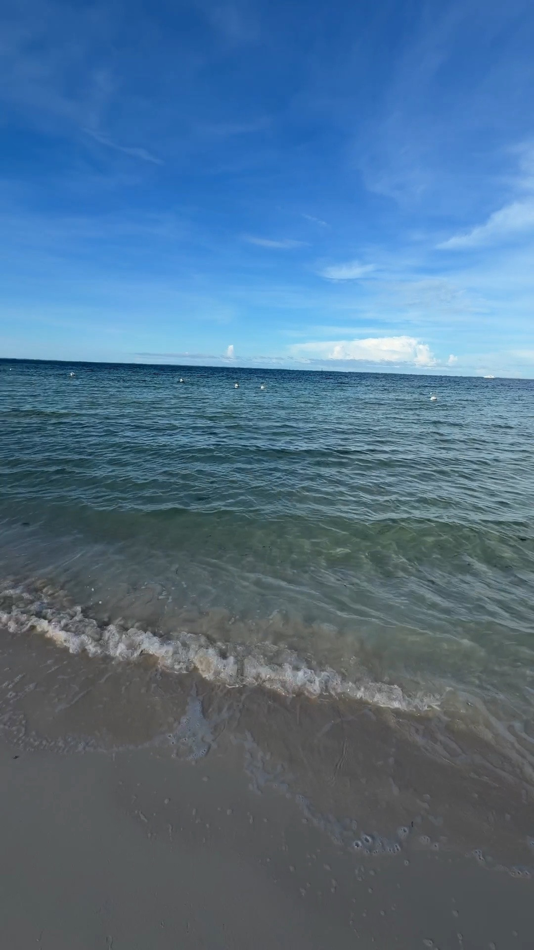 Seashells by the Seashore 🐚

#LTKTravel #LTKSwim #LTKdayinmylife